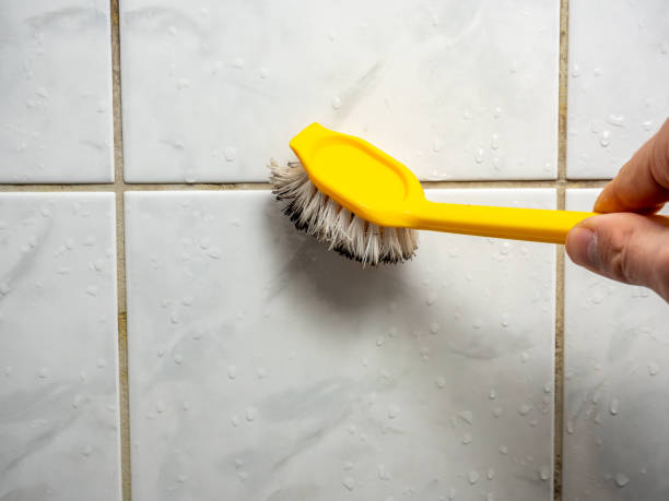 Attic Mold Removal in Lennox, CA