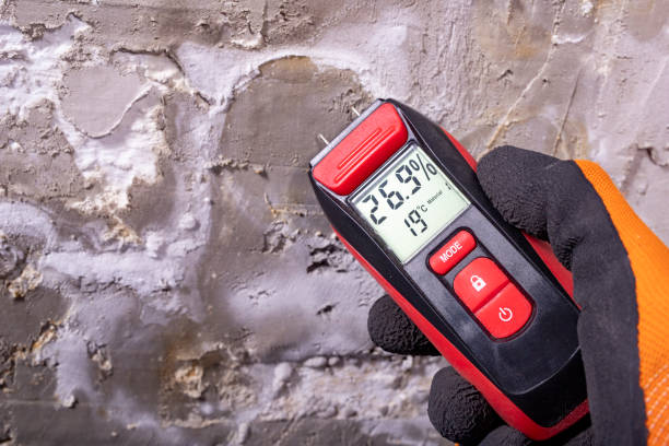 Best Attic Mold Removal  in Lennox, CA