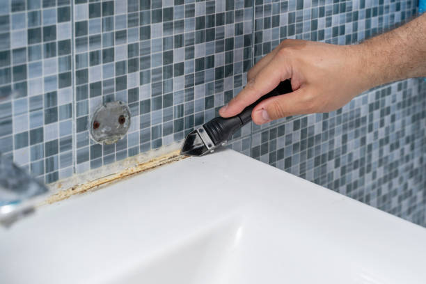 Best Attic Mold Removal  in Lennox, CA